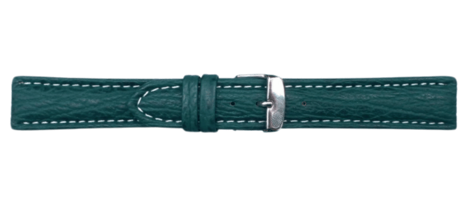 watch band